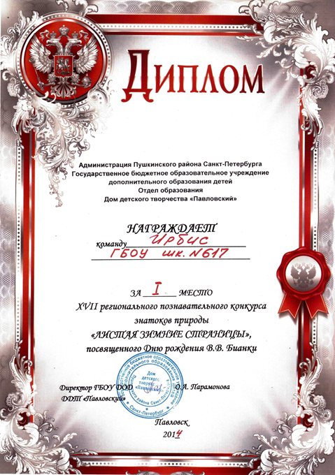 2013-2014 (Листая зимние страницы) 1 место